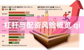 杠杆与配资风险概览 qi