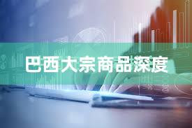 巴西大宗商品深度